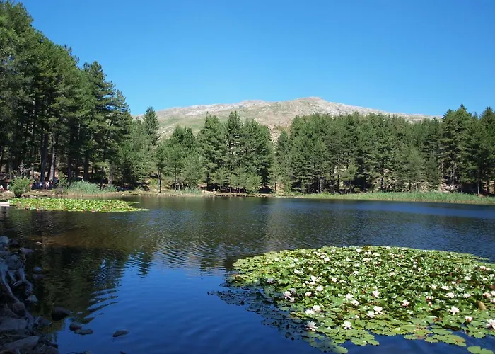 Hotel - U Paradisu Vico